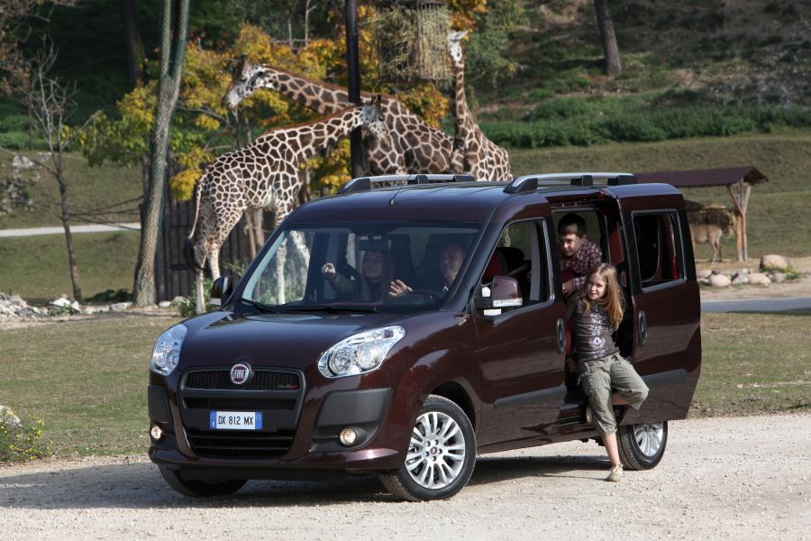  Fiat Doblo (263) 2010 года  (фото 11 из 40)
